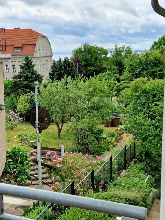 Ferienwohnung Treibholz Sassnitz Ngoại thất bức ảnh
